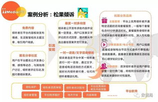 2017上半年中國精神類服務電商市場研究報告 教育咨詢服務的崛起與前景